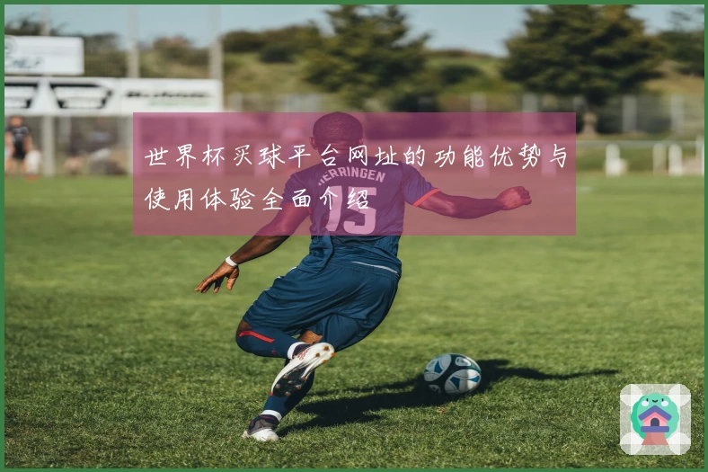 世界杯买球平台网址的功能优势与使用体验全面介绍
