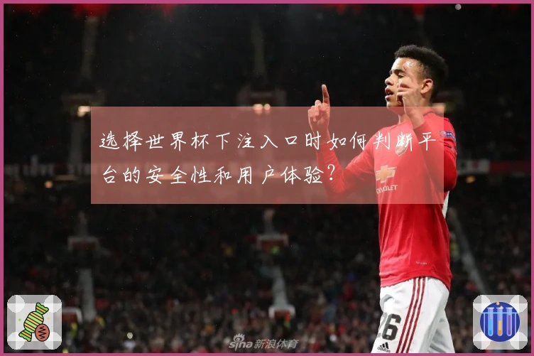 选择世界杯下注入口时如何判断平台的安全性和用户体验?