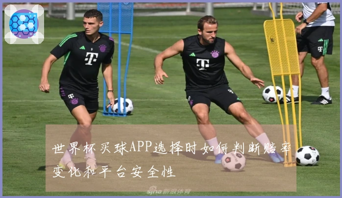 世界杯买球APP选择时如何判断赔率变化和平台安全性