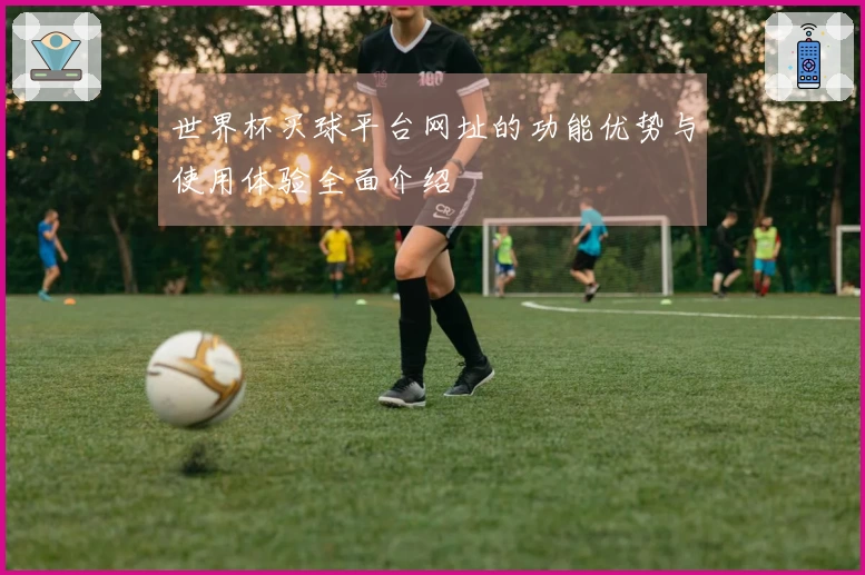世界杯买球平台网址的功能优势与使用体验全面介绍