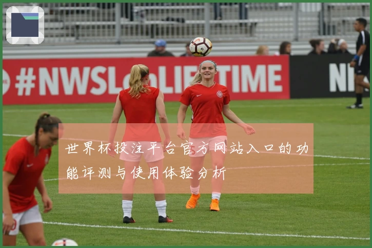 世界杯投注平台官方网站入口的功能评测与使用体验分析