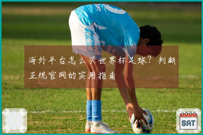 海外平台怎么买世界杯足球？判断正规官网的实用指南
